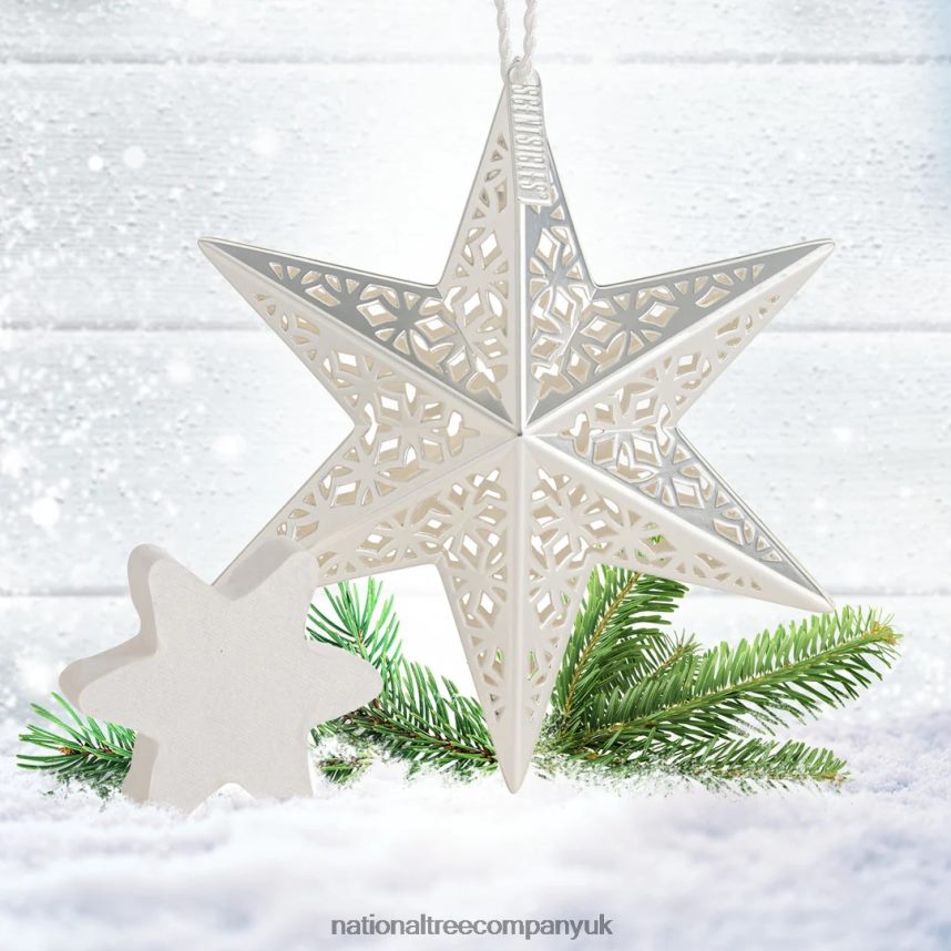 decoration | National Tree Company Scentsicles Decorative Ornament Metal White Star White Winter Fir with Refill F2L4F548